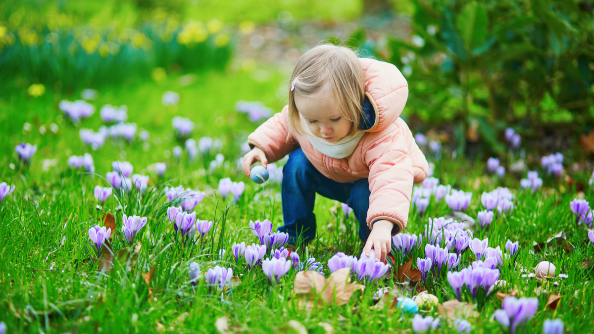 子供と散歩中も 花 植物の名前を 語りかけ 春夏秋冬おすすめな花図鑑 リコプリ